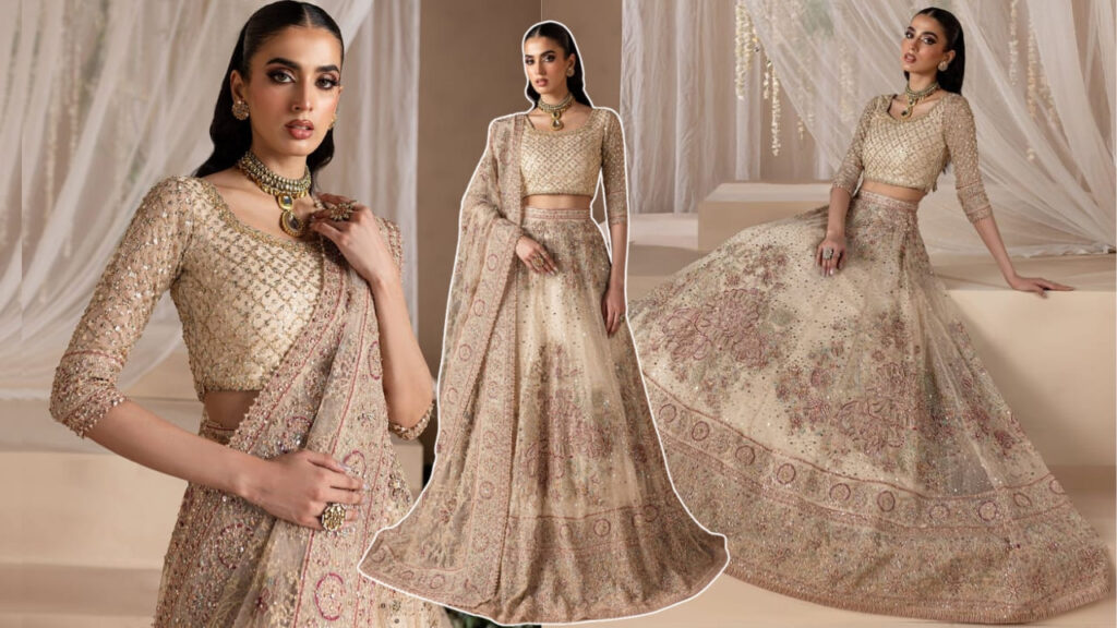 Popular Trending Pakistani Dress Patterns - Lehenga Choli